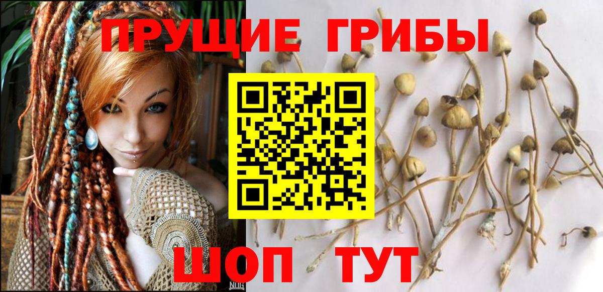 Нефтекумск  Псилоцибиновые грибы Magic Shrooms  Вход с VPN  Псилоцибиновые грибы MAGIC MUSHROOMS 